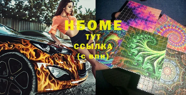 индика Арсеньев