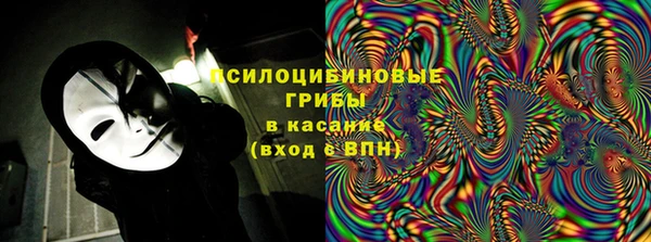 дурь Алексин