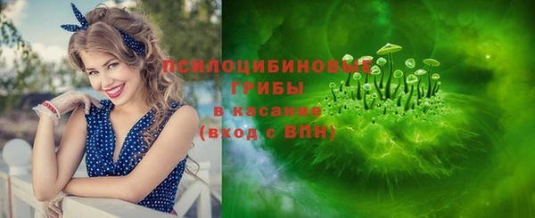 дурь Алексин